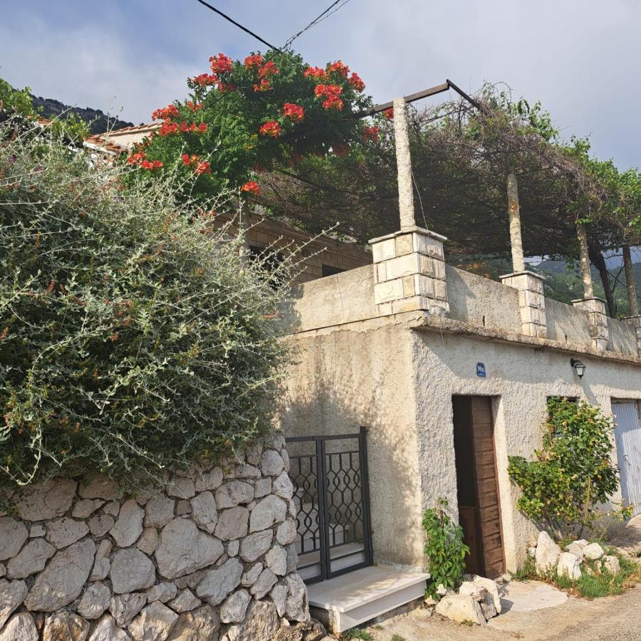 Guest House Tanja Babino Polje Luaran gambar